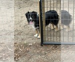Small #3 Breeder Profile image