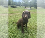 Small #4 Breeder Profile image