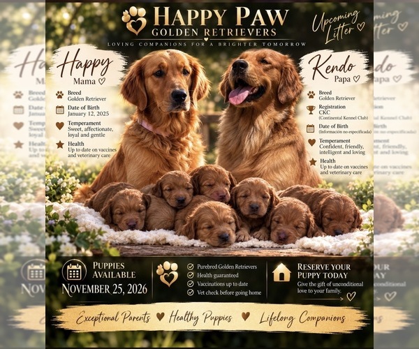 Medium Photo #1  Breeder Profile in DEERFIELD BEACH, FL, USA