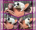 Small #6 Breeder Profile image