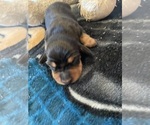 Small #3 Breeder Profile image