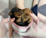 Small #6 Breeder Profile image