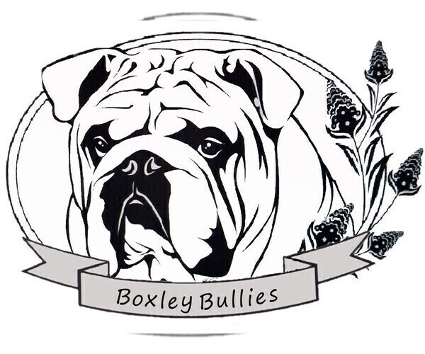 Medium Photo #1  Breeder Profile in CASSVILLE, MO, USA