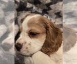 Small #6 Breeder Profile image