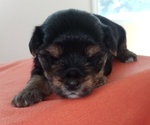 Small #47 Breeder Profile image