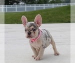 Small #18 Breeder Profile image