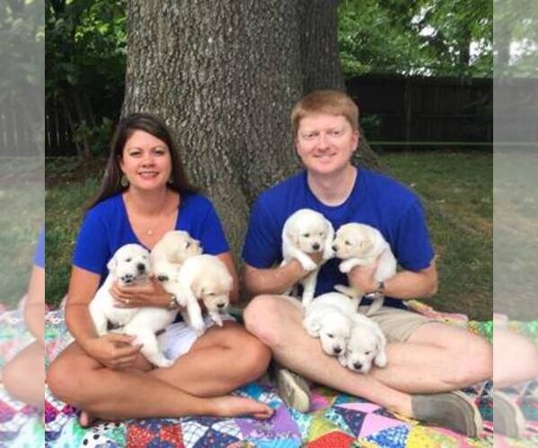Medium Photo #1  Breeder Profile in FAYETTEVILLE, AR, USA