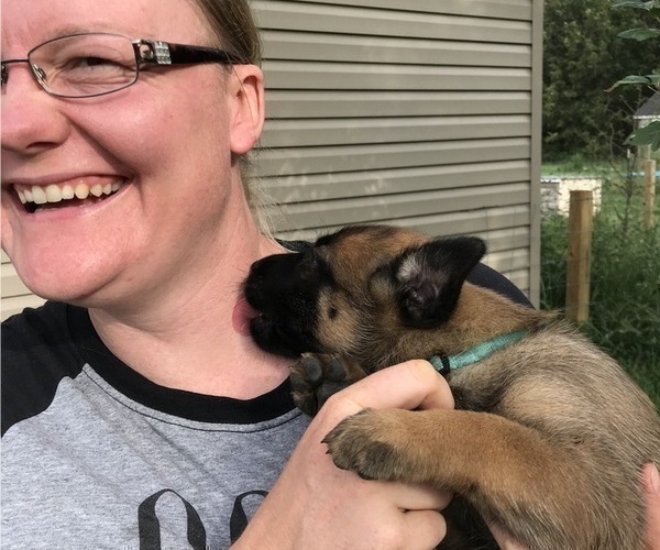 Medium Photo #3  Breeder Profile in THAYER, MO, USA