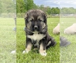 Small #65 Breeder Profile image