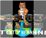 Small #1 Breeder Profile image