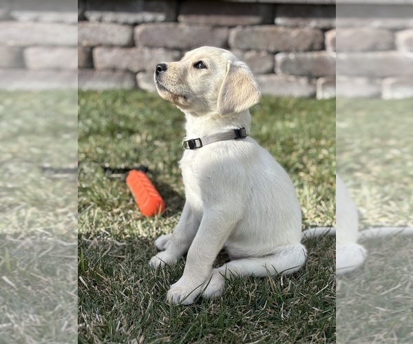 Medium Photo #1  Breeder Profile in EAGLE MOUNTAIN, UT, USA