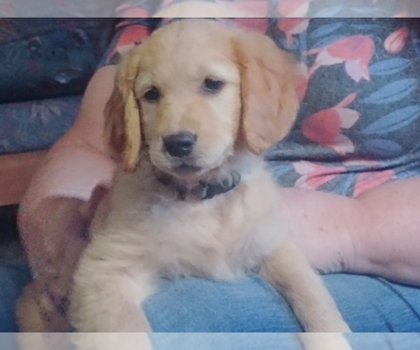 Medium Photo #7  Breeder Profile in COULEE CITY, WA, USA