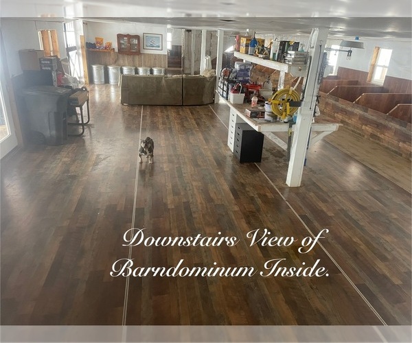 Medium Photo #8  Breeder Profile in FORT PLAIN, NY, USA