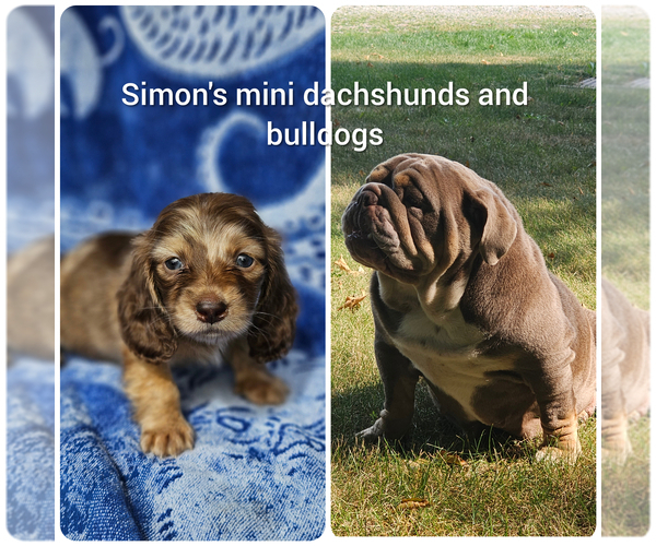 Medium Photo #1  Breeder Profile in BELOIT, OH, USA