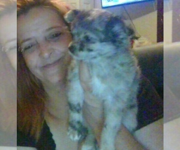 Medium Photo #1  Breeder Profile in PORTAGE, IN, USA