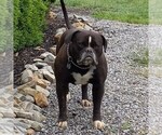 Small #21 Breeder Profile image