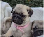 Small #7 Breeder Profile image