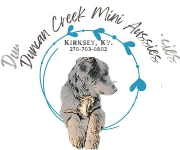 Medium Photo #1  Breeder Profile in KIRKSEY, KY, USA