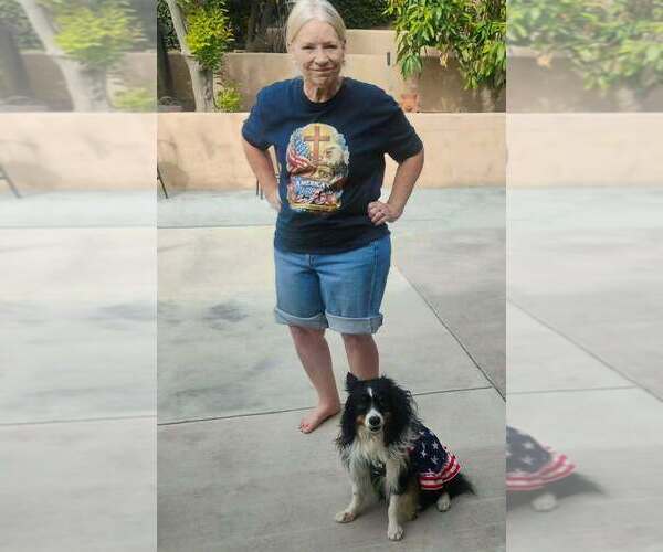 Medium Photo #1  Breeder Profile in LA MIRADA, CA, USA
