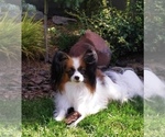 Small #6 Breeder Profile image
