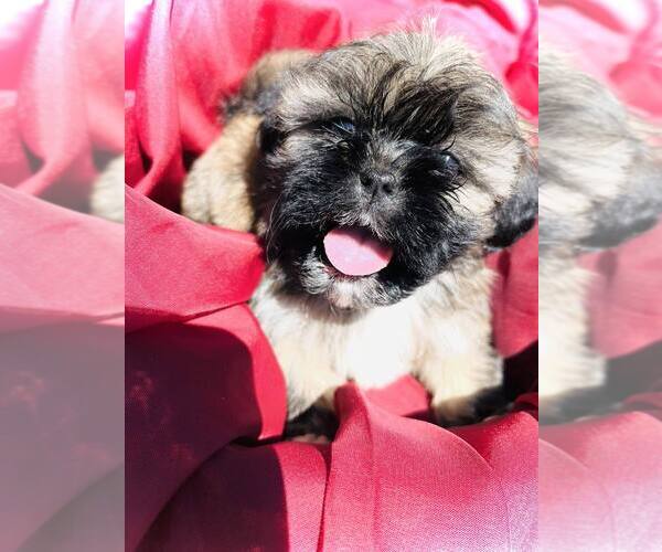 Medium Photo #1  Breeder Profile in MC KEE, KY, USA