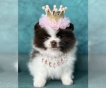 Small #3 Breeder Profile image