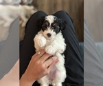 Small #6 Breeder Profile image