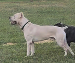Small #4 Breeder Profile image