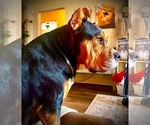 Small #29 Breeder Profile image