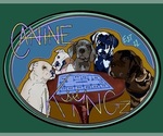 Small breeder photo