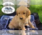 Small Photo #2  Breeder Profile in FRENCHTOWN, MT, USA