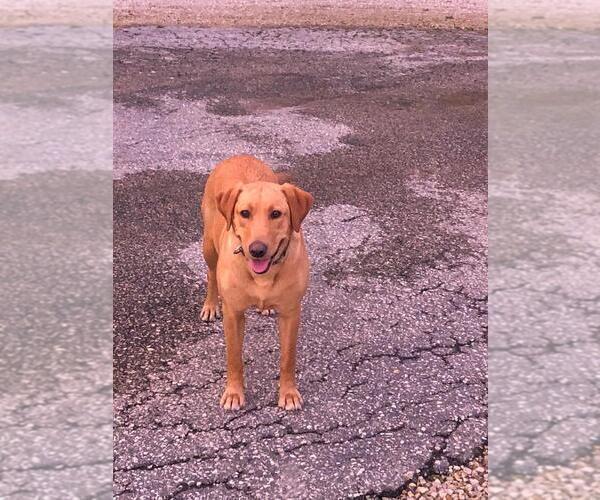 Medium Photo #1  Breeder Profile in WESTBY, WI, USA