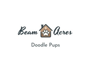 Medium Breeder Profile Photo