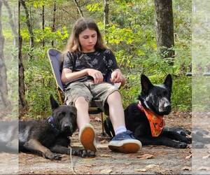 Medium Breeder Profile Photo