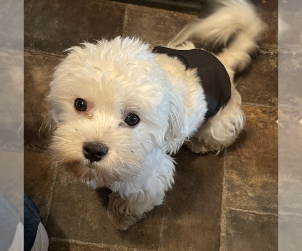 Medium Photo #2  Breeder Profile in REDDING, CA, USA