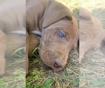 Small #3 Breeder Profile image