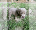 Small Photo #11  Breeder Profile in VALLEY CITY, OH, USA