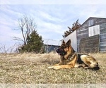 Small #7 Breeder Profile image