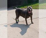 Small #10 Breeder Profile image