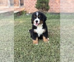 Small #11 Breeder Profile image