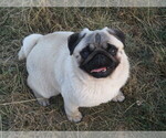 Small #4 Breeder Profile image