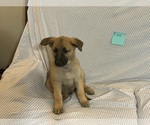 Small #4 Breeder Profile image