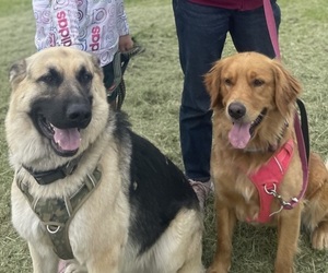 Medium Breeder Profile Photo