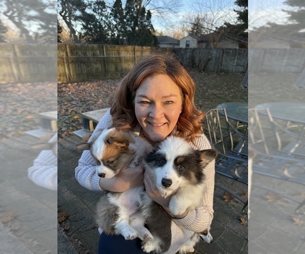 Medium Photo #9  Breeder Profile in GRAND RAPIDS, MI, USA