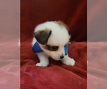Small #146 Breeder Profile image
