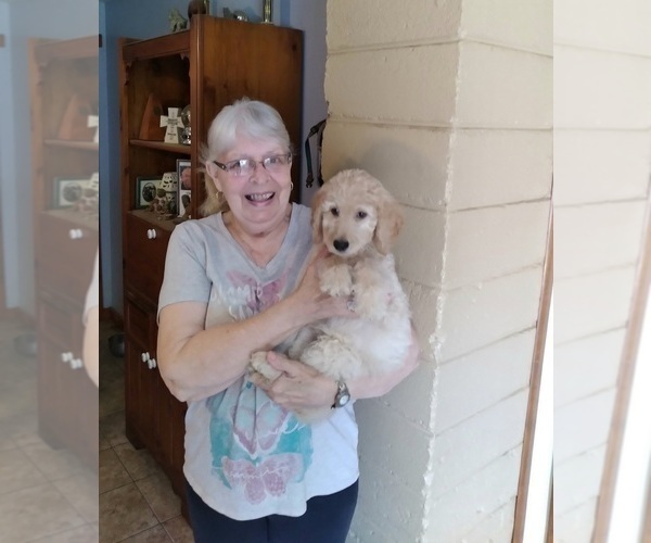 Medium Photo #1  Breeder Profile in PITTSGROVE, NJ, USA