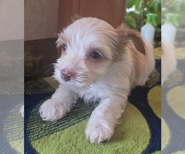 Medium Photo #3  Breeder Profile in MILWAUKIE, OR, USA