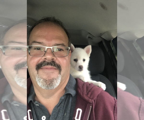 Medium Photo #1  Breeder Profile in BATTLE CREEK, MI, USA