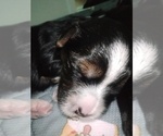 Small #37 Breeder Profile image