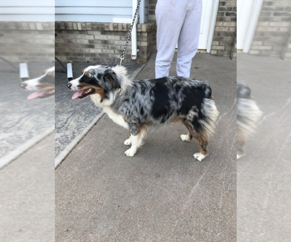 Medium Photo #1  Breeder Profile in GENOLA, MN, USA